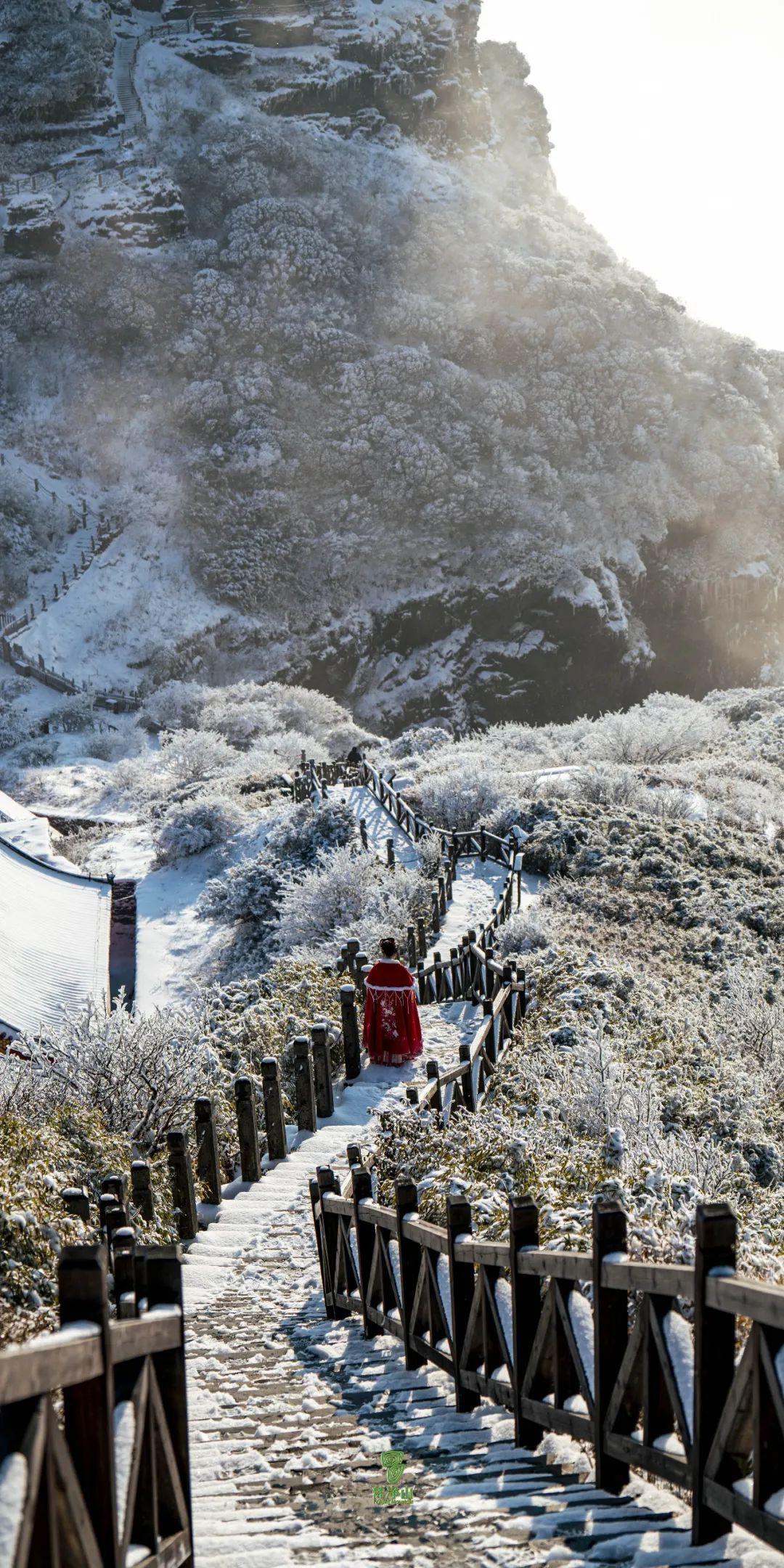 美女老外穿漢服打卡黃山云海，美女老外漢服打卡黃山云海美景