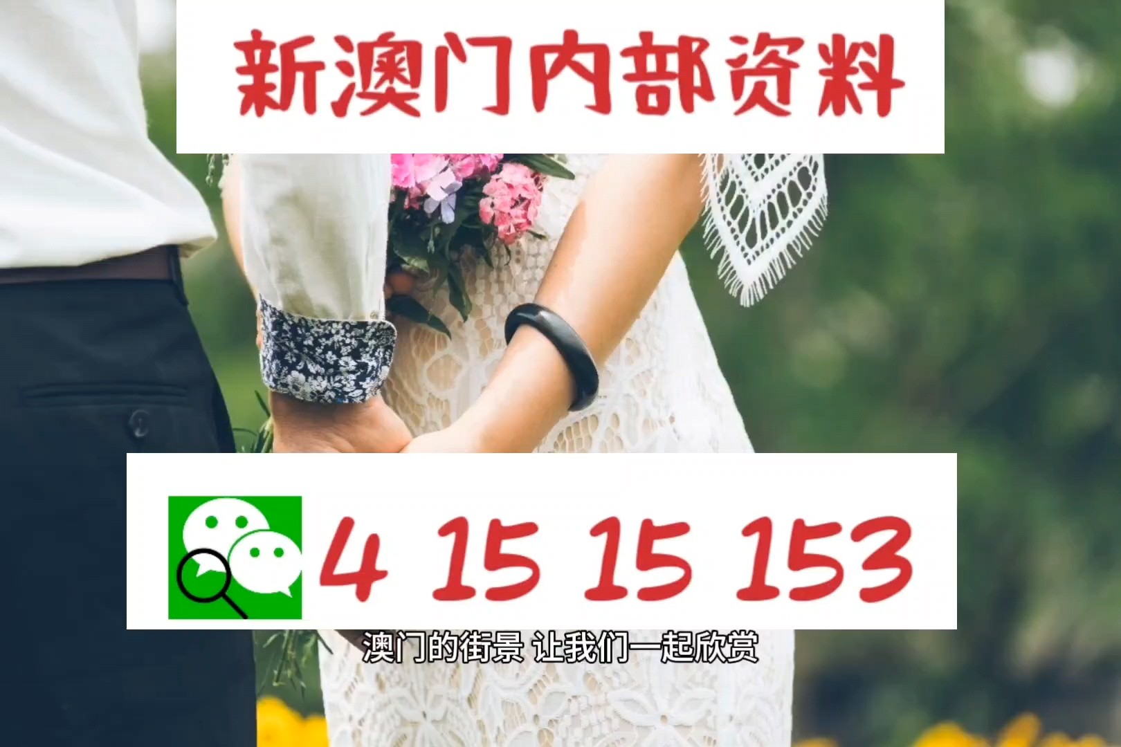 澳門正版資料免費大全新聞——揭示違法犯罪問題，澳門正版資料免費大全新聞揭秘，違法犯罪問題曝光