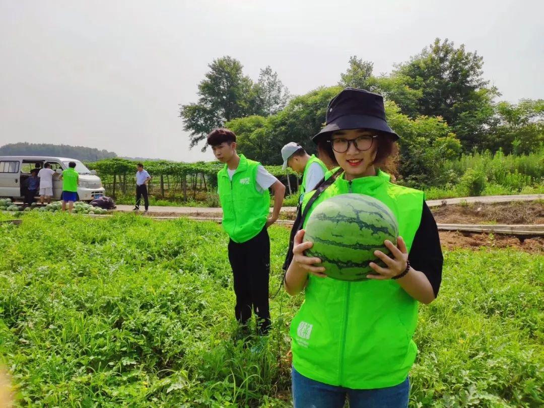 先鋒電子股票股吧，探索數字時代的投資機遇與挑戰，先鋒電子股票股吧，數字時代投資機遇與挑戰探索