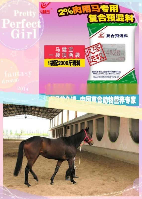 2024澳門特馬今晚開獎138期_準確資,迅速設計執行方案_HarmonyOS58.243