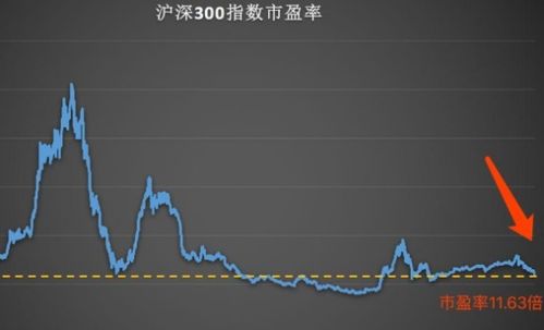 浙大網(wǎng)新歷史最高股價，探索背后的力量與未來展望，浙大網(wǎng)新歷史最高股價背后的力量與未來展望