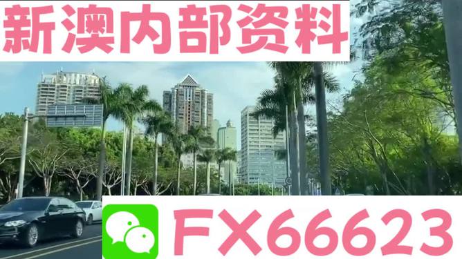 新澳精準(zhǔn)資料免費(fèi)提供，探索第353期的奧秘與價(jià)值，新澳精準(zhǔn)資料第353期探索，奧秘與價(jià)值揭秘，資料免費(fèi)分享