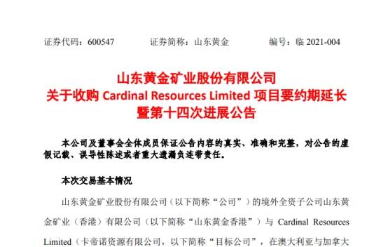 新澳黃金六肖i,實踐案例解析說明_L版89.214