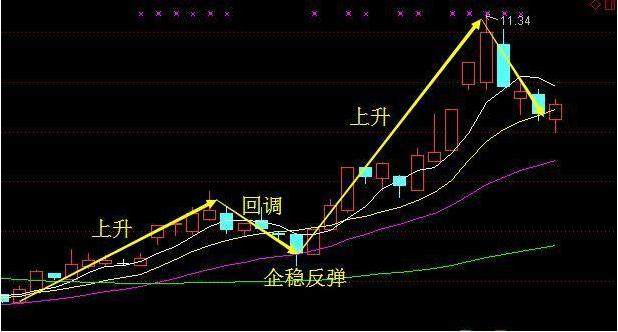 即將暴漲的黑馬股票，市場的新寵兒，黑馬股票新星，市場新寵兒即將暴漲