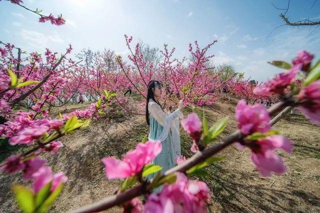 天下秀股票所屬板塊深度解析，天下秀股票所屬板塊的深度剖析