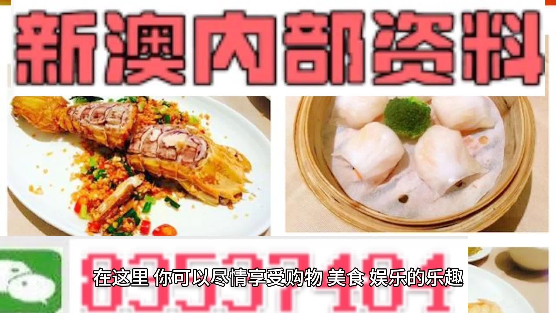 新奧天天精準資料大全，深度解析與實際應用，新奧天天精準資料大全，深度解析及實際應用指南