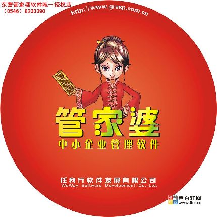 管家婆正版管家的魅力與價值，管家婆正版管家的核心魅力與實用價值