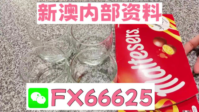 澳門正版資料免費大全新聞，揭示違法犯罪問題的重要性與應對之道，澳門正版資料免費大全新聞，違法犯罪問題的應對之道與重要性揭秘