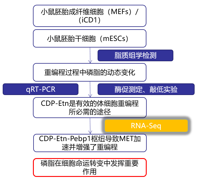 新奧精準資料免費提供彩吧助手,科學分析解析說明_Advance33.94