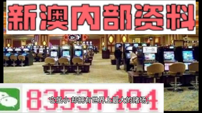 2024新澳門正版精準免費大全——揭示違法犯罪背后的真相，揭秘澳門違法犯罪真相，正版精準資料免費大全（2024版）