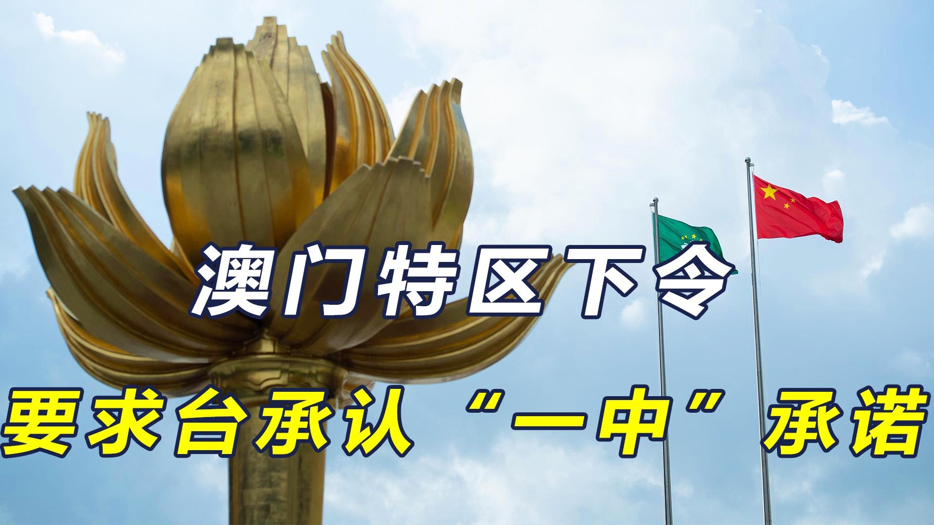 澳門一碼一肖一恃一中與違法犯罪問題，澳門一碼一肖一恃一中與違法犯罪問題探討