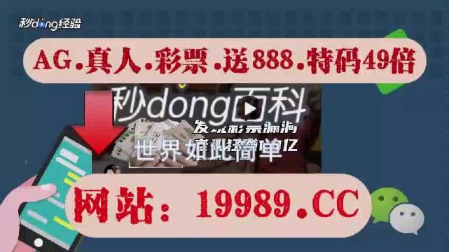 關于澳門彩票開碼料現象的探討——以2024年為背景，澳門彩票開碼料現象深度探討，聚焦2024年展望