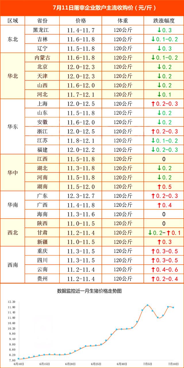 12月豬價暴跌令養殖戶措手不及——行業分析與應對策略，12月豬價暴跌背后的行業分析與應對策略