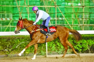 關于澳門特馬今晚開獎的討論與警示，澳門特馬今晚開獎討論及警示