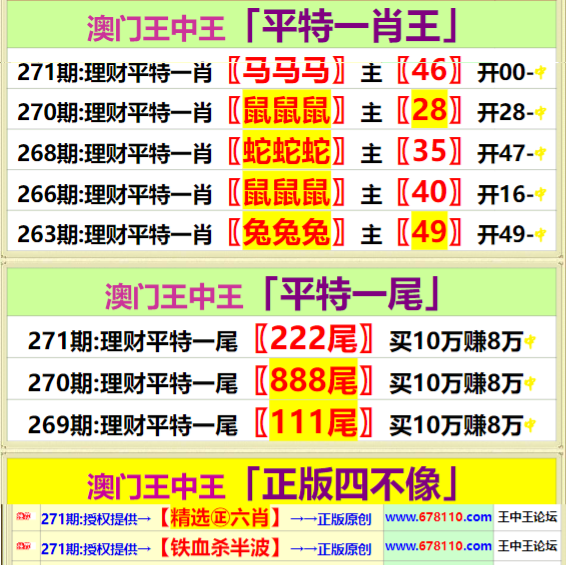 王中王精準資料期期中澳門高手,精細定義探討_S32.239