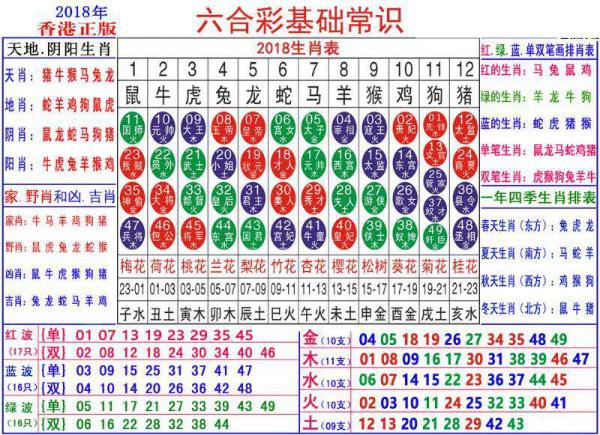 2024新澳門正版免費資料生肖卡,絕對經典解釋定義_MT75.341