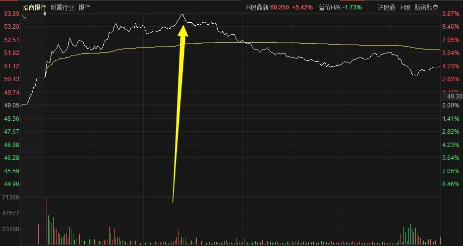 上證指數急漲急跌行情，市場波動下的機遇與挑戰，上證指數波動劇烈，機遇與挑戰并存的市場行情