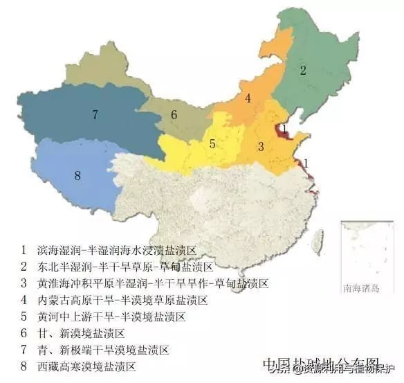 全國4800萬畝坡耕地分布及其影響，全國4800萬畝坡耕地分布及其生態影響分析