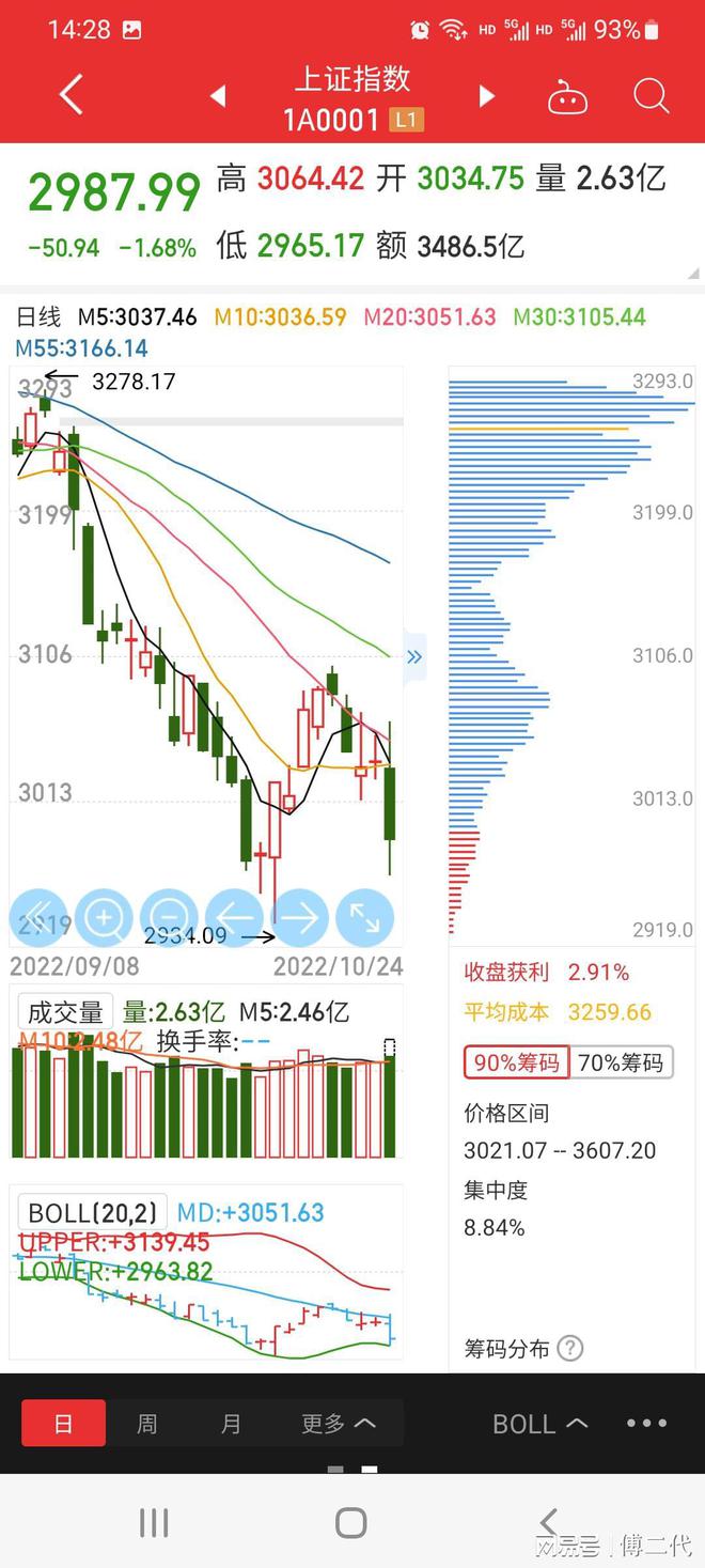 上證指數暴跌百點新，市場波動背后的深層原因與應對策略，上證指數暴跌百點背后的深層原因及應對策略