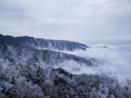 雪人股份目標價2024年，深度分析與展望，雪人股份2024年目標價深度分析與展望