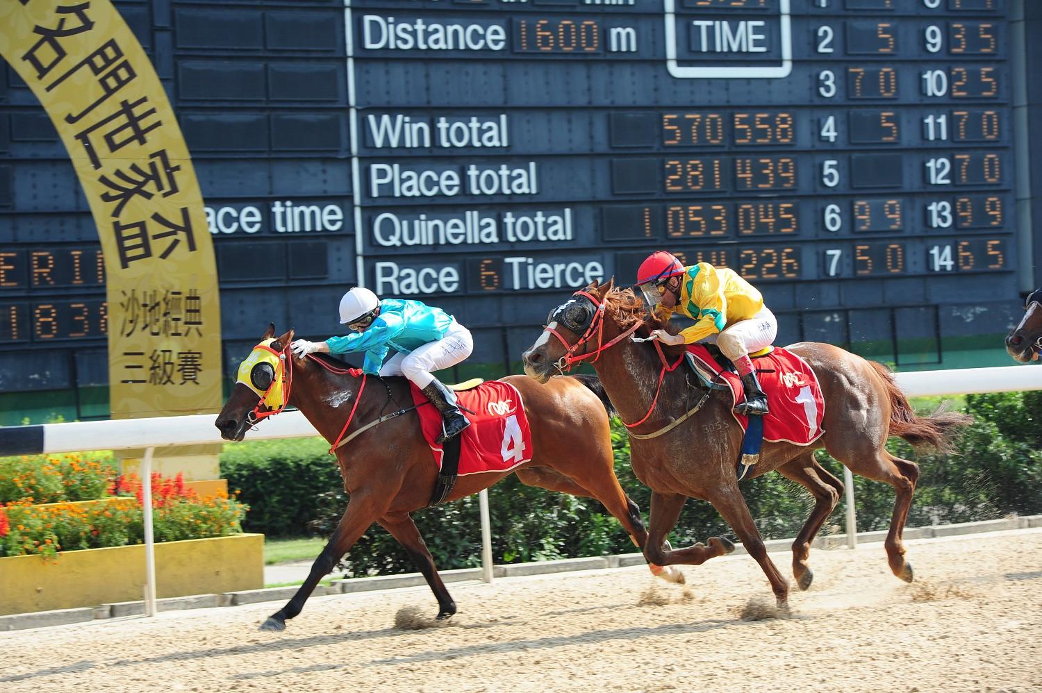 澳門馬會會員資料公開，機遇與挑戰并存，澳門馬會會員資料公開，機遇與挑戰的并存