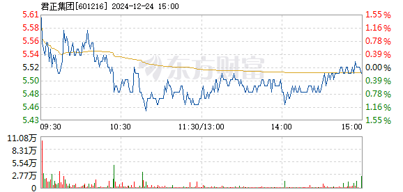 君正集團股價下跌5.13%背后的原因及未來展望，君正集團股價下跌原因解析與未來展望