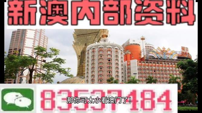 澳門內(nèi)部資料精準(zhǔn)大全2023——警惕違法犯罪風(fēng)險(xiǎn)，澳門內(nèi)部資料精準(zhǔn)大全背后的風(fēng)險(xiǎn)，警惕違法犯罪威脅 2023年警惕篇