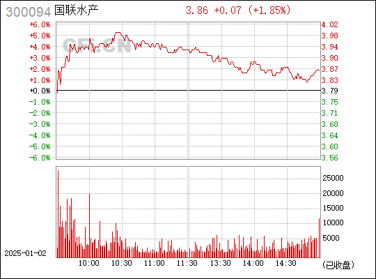 探索神秘的數字序列，300094的起源與意義，揭秘數字序列300094的起源與深層含義